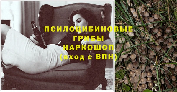 дурь Михайловск