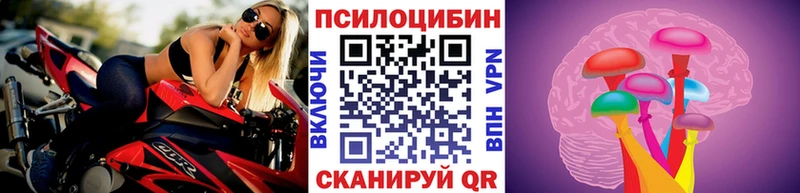 Псилоцибиновые грибы прущие грибы  магазин продажи   Благовещенск 